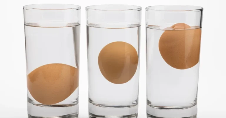 Come capire se un uovo è fresco: guida completa al test dell’acqua