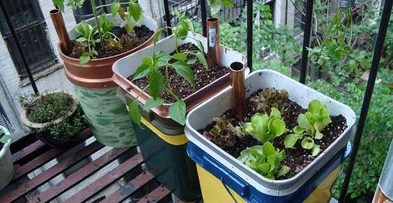 Trasforma il tuo giardino con i vasi autoirriganti! 🌱💧