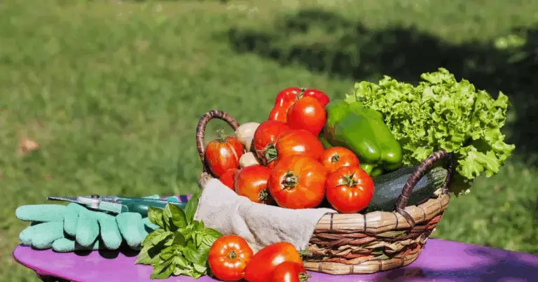 Come Piantare a Luglio: Guida Completa per un Raccolto Estivo Ricco di Verdure Fresche