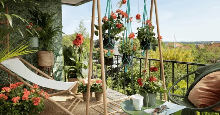 Trasforma il tuo piccolo giardino o balcone in un frutteto produttivo in meno di due anni! 🍇🌿