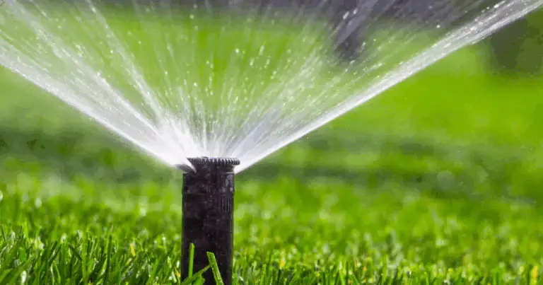 Come mantenere un giardino rigoglioso e sano adottando metodi naturali e sostenibili 🌱🌺