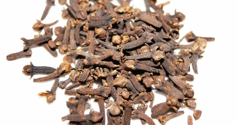 Impara a coltivare i chiodi di garofano in casa e trasforma il tuo giardino o balcone! 🌿✨