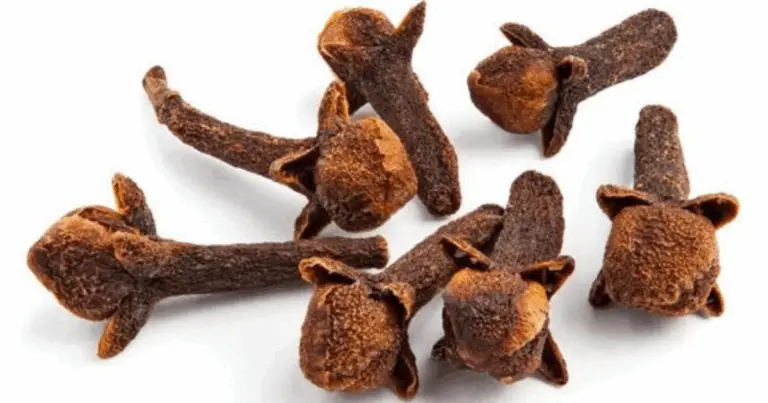 I incredibili benefici dei chiodi di garofano per il tuo benessere quotidiano 🌿✨