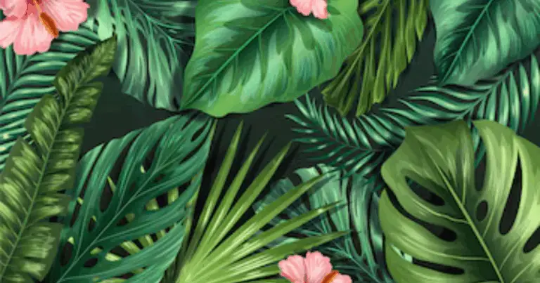 Scopri la magia delle piante dal fogliame multicolore 🌈🌿