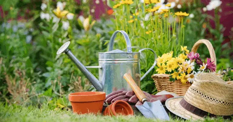  Consigli Utili per il Successo del tuo Giardinaggio a Luglio 🌞