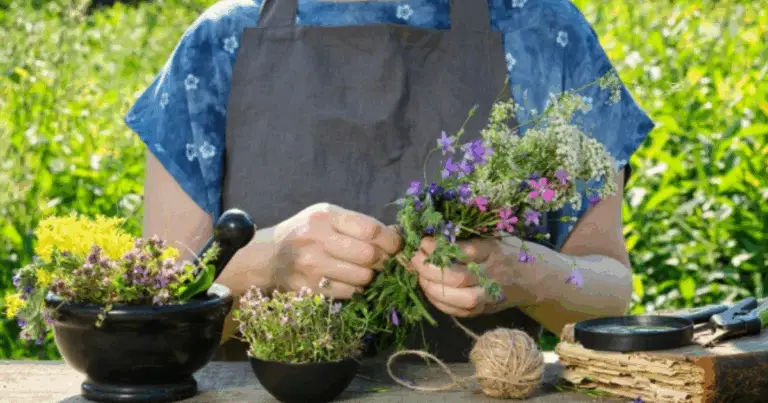 Scopri i segreti delle piante naturali per migliorare la tua salute 🌿✨