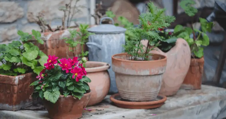 Segreti per un giardino sempre in fiore: la tecnica del vaso nel terreno 🌸