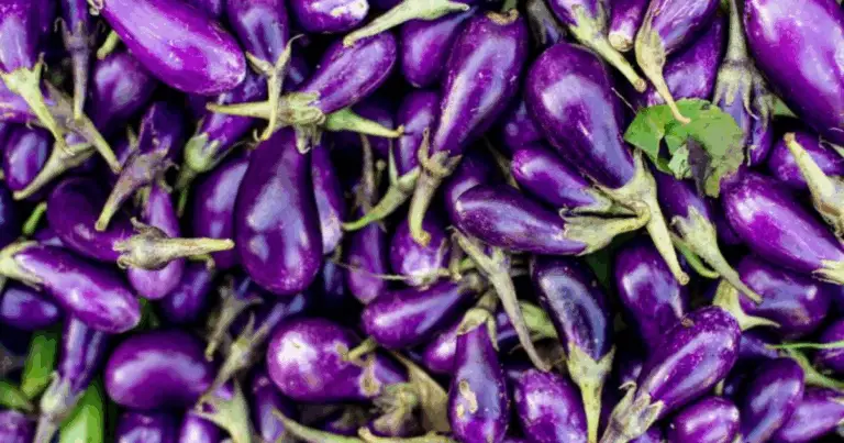 Il Potere del Viola: Guida Completa agli Alimenti Viola che Migliorano la Salute