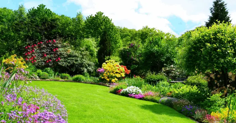 Trasforma il tuo giardino: guida completa per bilanciare estetica minimalista e biodiversità 🌺