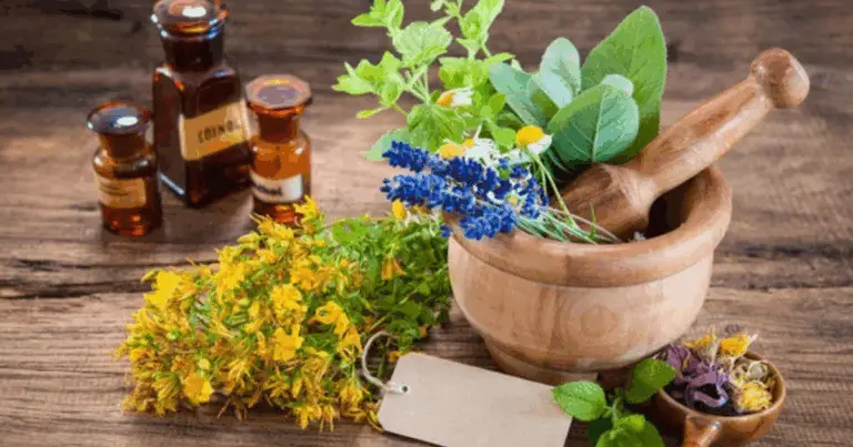 La Nutrizione Naturale: Come la Natura Nostra Alleata per una Vita Sana 🌱