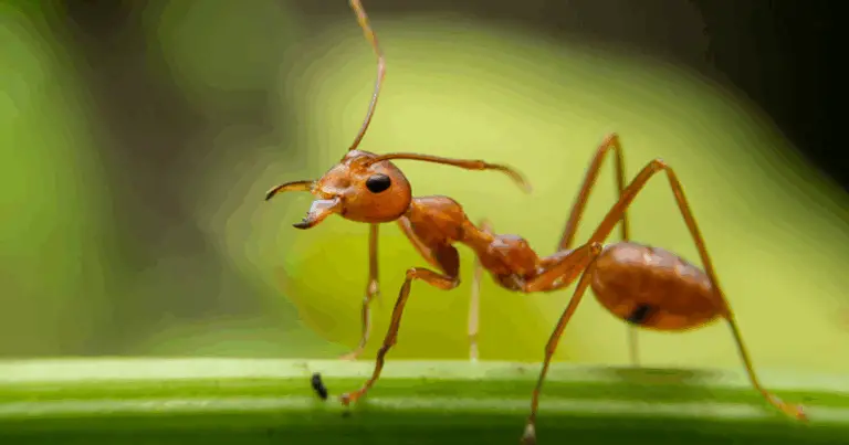 Perché scegliere metodi naturali
