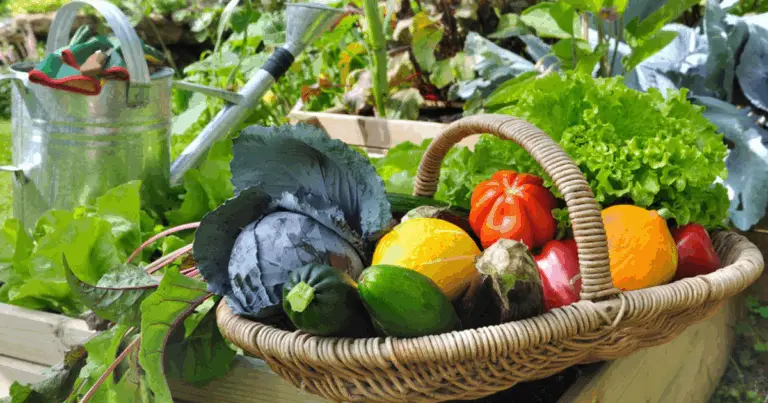 Cosa Piantare a Luglio: Guida Completa per un Raccolto Fresco Prima del Gelo! 🌱