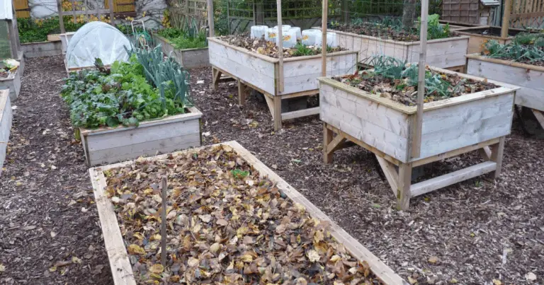 Orto rialzato a strati: guida economica e sostenibile per riempire cassoni profondi 🌱