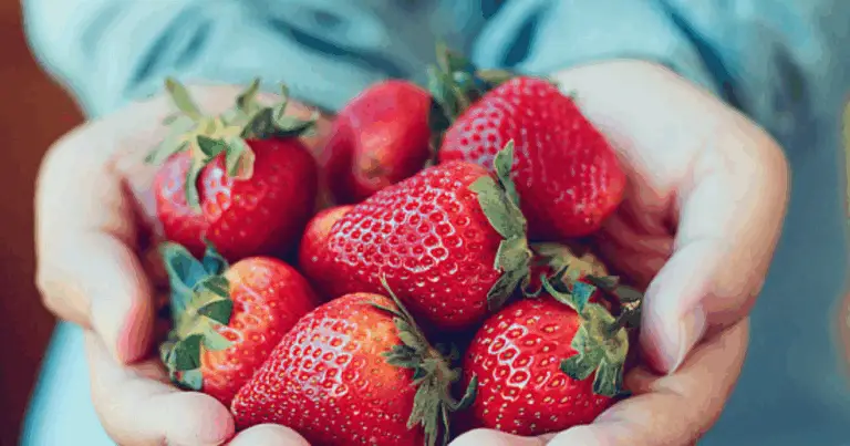 Cuore in forma: i 10 frutti migliori per una vita sana ❤️