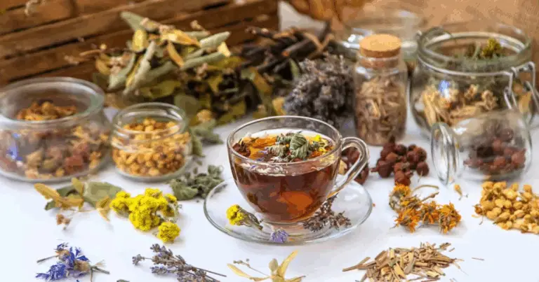 Bevi il Tuo Benessere: 9 Tisane per Sentirti Sempre al Meglio
