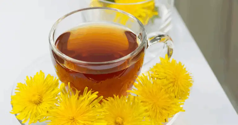4 Tisane Curative che i Tuoi Organi Ameranno (Guida Completa)