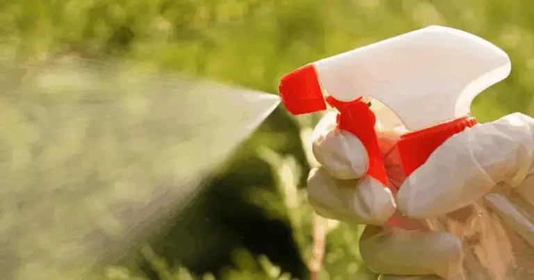 Diserbante Naturale Fai-da-Te 🌿 La Soluzione Ecologica Contro le Erbacce!