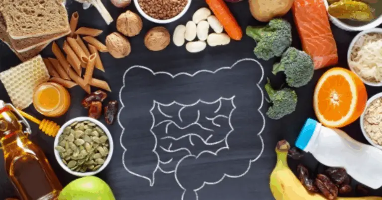 Quanto tempo impiega il cibo a digerire? Guida completa per digestioni più veloci e leggere”