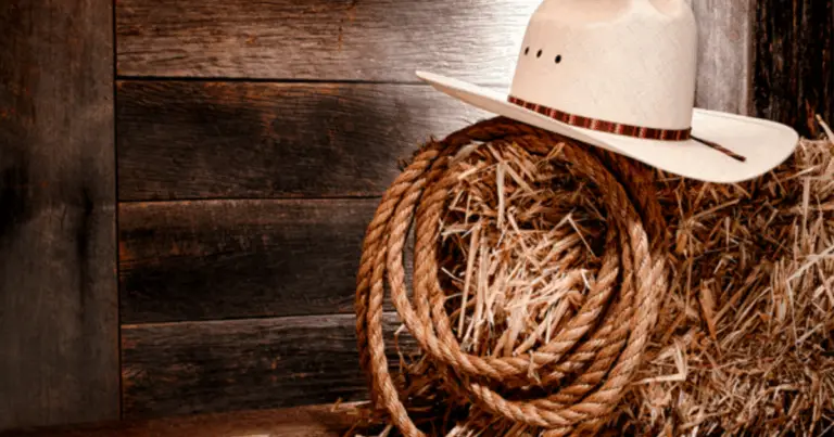 Scopri i Cappelli Cowboy del Mondo: Stili, Tradizioni e Come Sceglierli