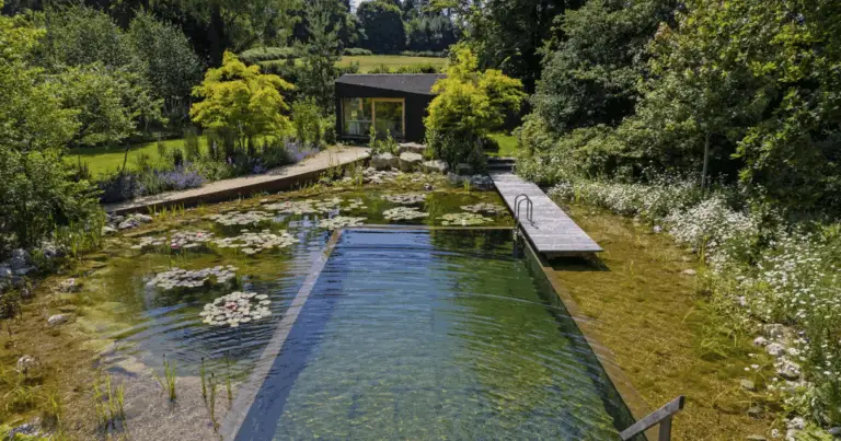 Piscina naturale: diventa un professionista nella progettazione, piantumazione e manutenzione ecologica