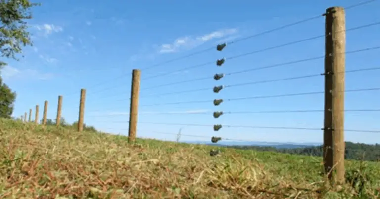 Attrezzare la Recinzione Perfetta per il Bestiame: Altezze Ideali, Consigli Pratici e Sicurezza Garantita
