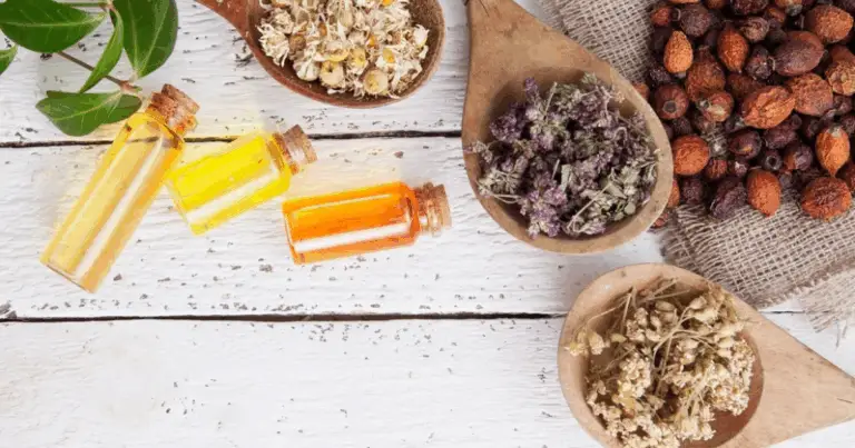 Piante Medicinali per il Benessere: Rimedi Naturali per Disturbi Comuni e Come Usarli