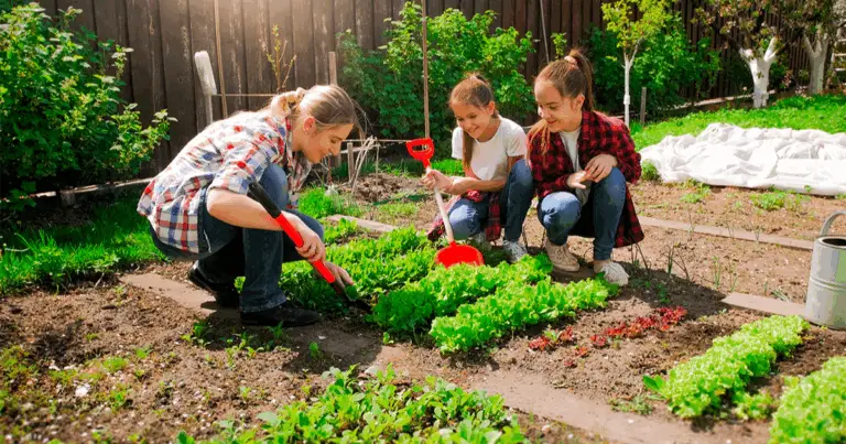 Calendario Mensile delle Semine: coltiva ortaggi nel momento giusto 🌱