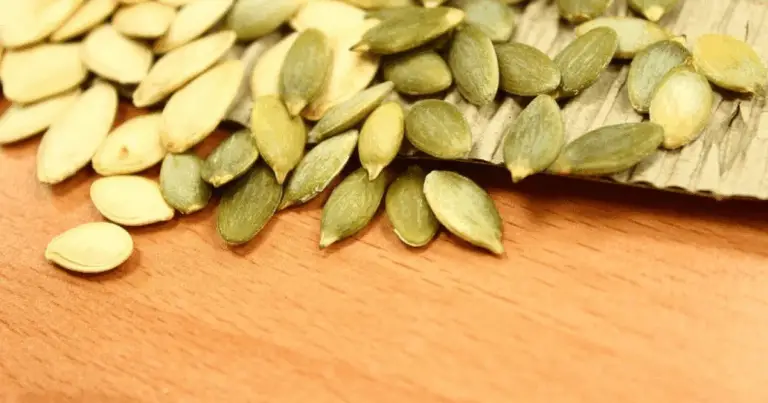 Zucca Miracolosa: un Potere Naturale Ritrovato