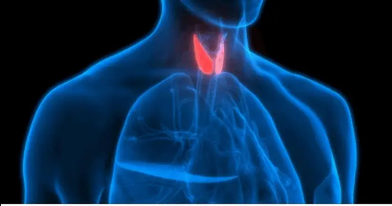 Connessione tra lingua e organi: come interpretare i segnali del tuo corpo