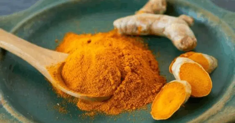 Erbe e Spezie Medicinali: Rimedi Naturali per il Benessere Completo 🌿