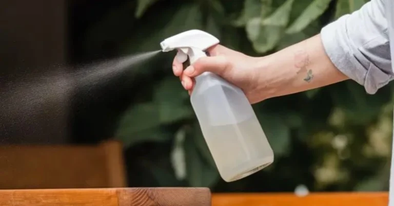 Guida Fai-da-Te: Spray Antiparassitari Naturali per una Casa Senza Insetti