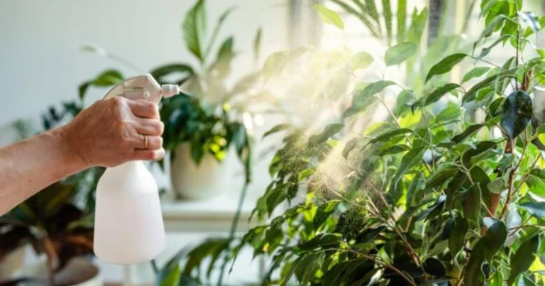 I Benefici del Bicarbonato di Sodio per le Piante