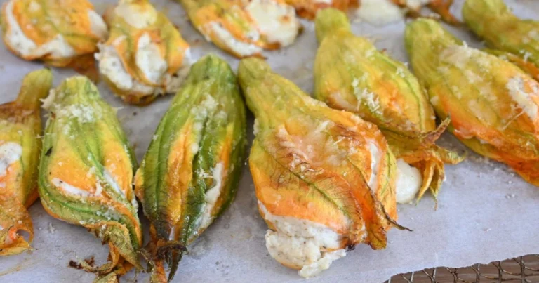 Fiori di zucca al forno: l’antipasto gratinato leggero, croccante e irresistibile