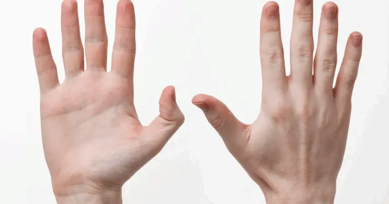 Il Potere Simbolico delle Mani: Arte, Vita e Lavoro a Volte Sottovalutati