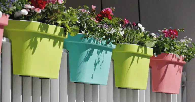 Piante per ogni sacco di coltivazione: guida pratica per coltivare in poco spazio 🌱🪴