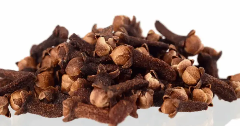 Coltiva i Tuoi Chiodi di Garofano da Seme: Guida Completa 🌱