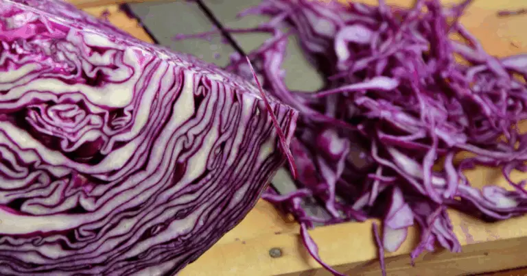 Forza Viola: I Cibi Migliori per il Tuo Cervello 💜🧠