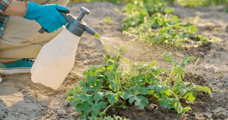 Addio Erbacce: Diserbante Naturale con 3 Ingredienti, Zero Chimica, Tanto Verde