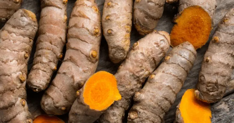 Erbe e Spezie che Aiutano a Gestire la Glicemia in Modo Naturale