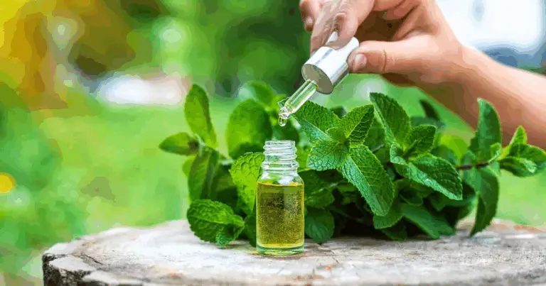 Stop alle mosche con la natura: oli essenziali efficaci e metodi fai-da-te
