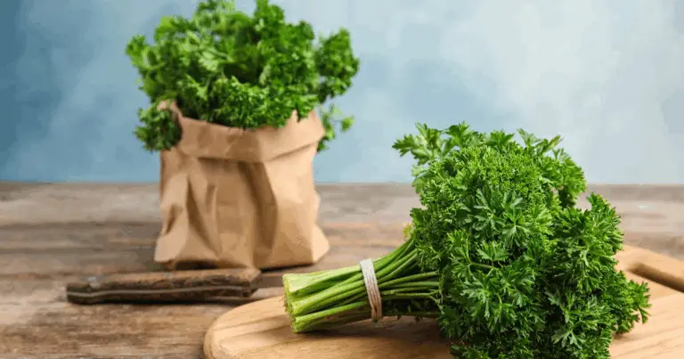 Coltivare erbe aromatiche in acqua in cucina: guida completa