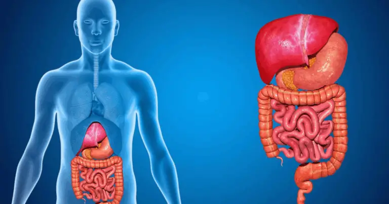 Tempi di digestione degli alimenti: una guida completa