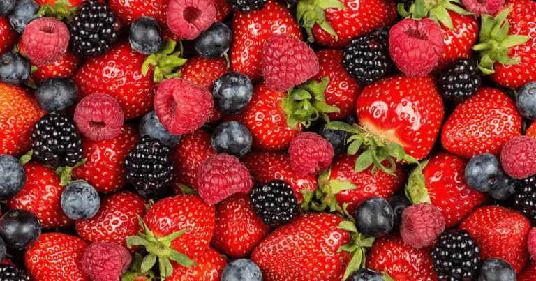 🫐 Guida Completa alla Coltivazione dei Mirtilli in Vaso e in Giardino