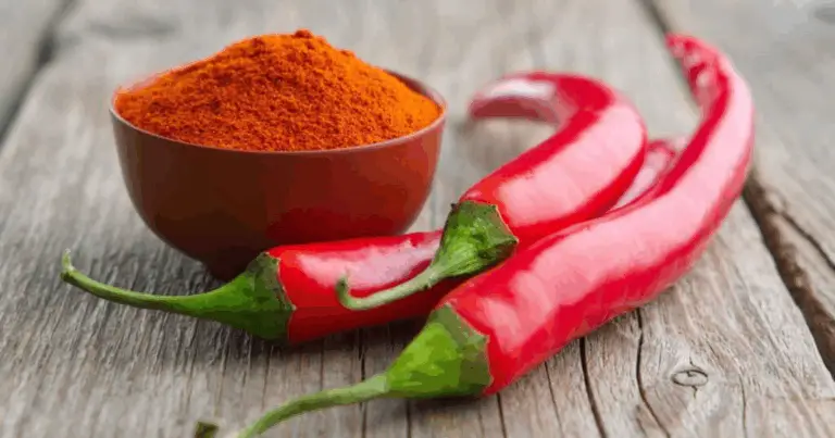 Alimenti che migliorano la circolazione sanguigna: guida completa al benessere naturale