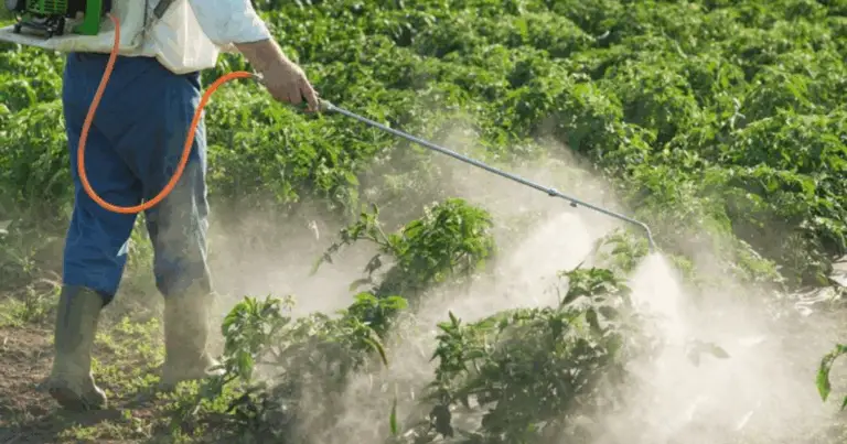 🌿 Diserbante Naturale Fai-da-Te: La Soluzione Ecologica per il Tuo Giardino 🌿