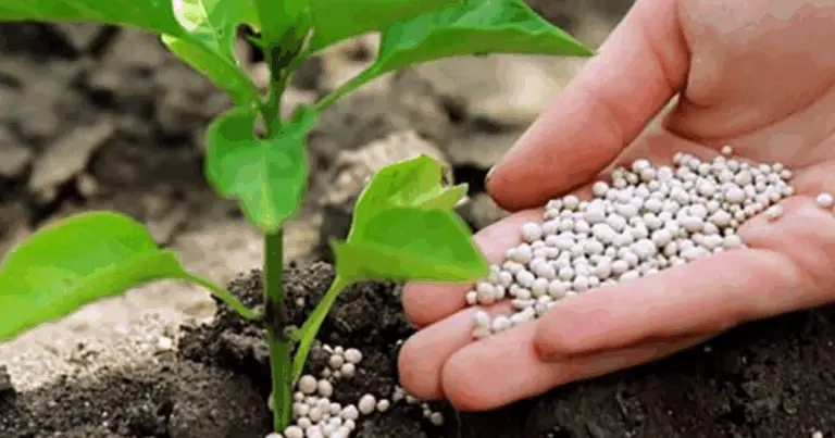 🌿 I 9 Migliori Fertilizzanti Organici: Nutri il Tuo Giardino in Modo Naturale