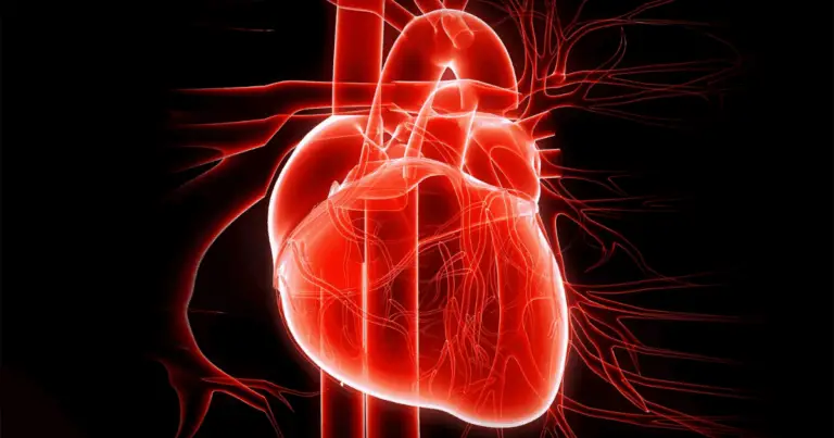 ❤️ Alimenti per la salute del cuore: la guida completa