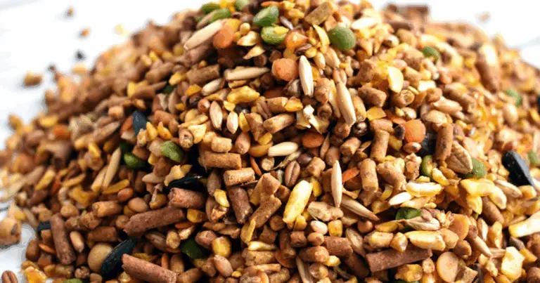 🐔 Alimentazione Naturale delle Galline: 6 Ricette Casalinghe per un Pollaio Sano e Produttivo 🌾