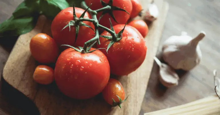 🍅 I diversi tipi di pomodoro e i loro benefici per la salute