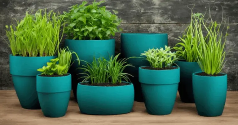 🌱 Coltivazione in Vasi: Guida Completa alle Dimensioni Ideali